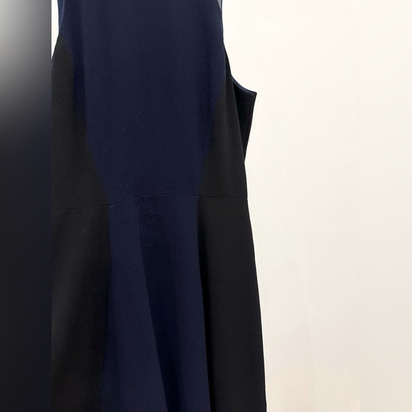 Banana Republic Colour Block Dress - Picture 3 of 4